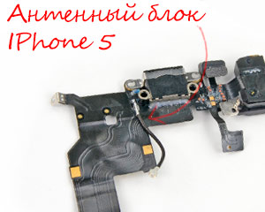 ��� ����  iphone 5