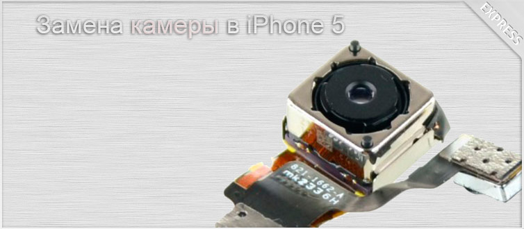 ������ ������ ������ � ����� � �������� iphone 5c