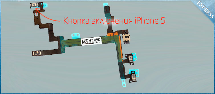 ������ ������ ��������� iphone 5