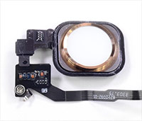 ������ ������  home 5s