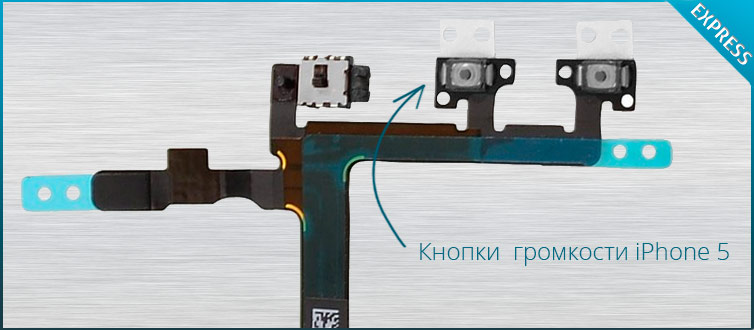 ������ ������ ����������� ��������� iphone 5